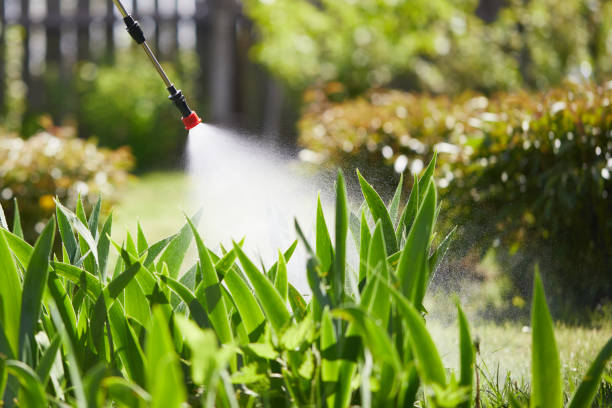 Tamper-Resistant Bait Stations for Rodents in Selmer
