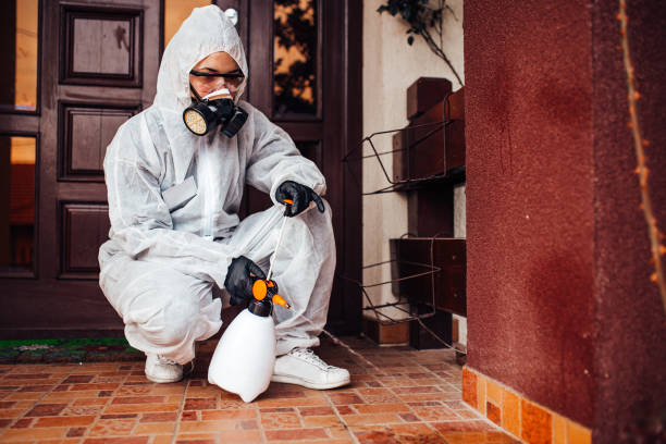 Attic and Crawl Space Rodent Treatment in Selmer